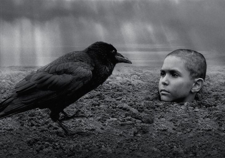 ホラーより怖い映画「異端の鳥」 あなたは最後まで見続けられるか?