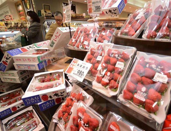 福岡県が中国で品種を登録した高級いちご「あまおう」