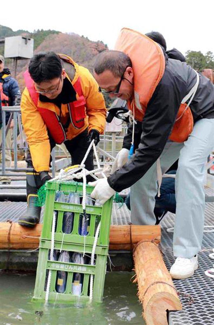 滝畑ダムの湖底に沈められる日本酒。じっくりと熟成され、来年5月に地上へ戻る=大阪府河内長野市