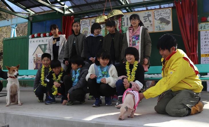 宇都宮動物園を代表する犬「レイ」(左)とイノシシの仲間、子豚の「イチカ」(右)、戌年、亥年の小学生らが参加して「干支の引き継ぎ式」が行われた=2日、宇都宮市上金井町